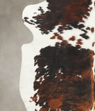 Tricolor Cowhide Rug #B6140