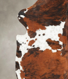 Tricolor Cowhide Rug #B6141