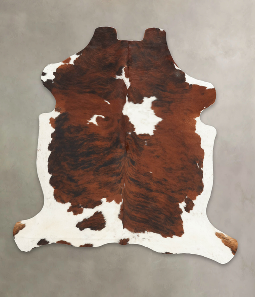 Tricolor Cowhide Rug #B6142