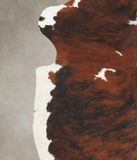Tricolor Cowhide Rug #B6142