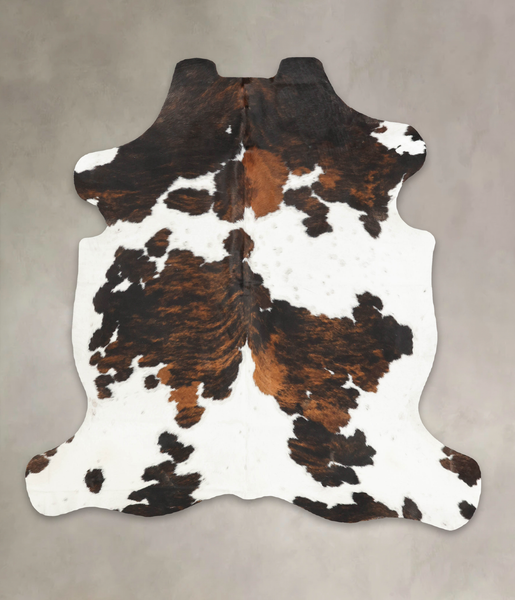 Tricolor Cowhide Rug #B6143