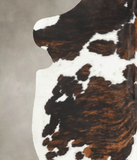 Tricolor Cowhide Rug #B6143