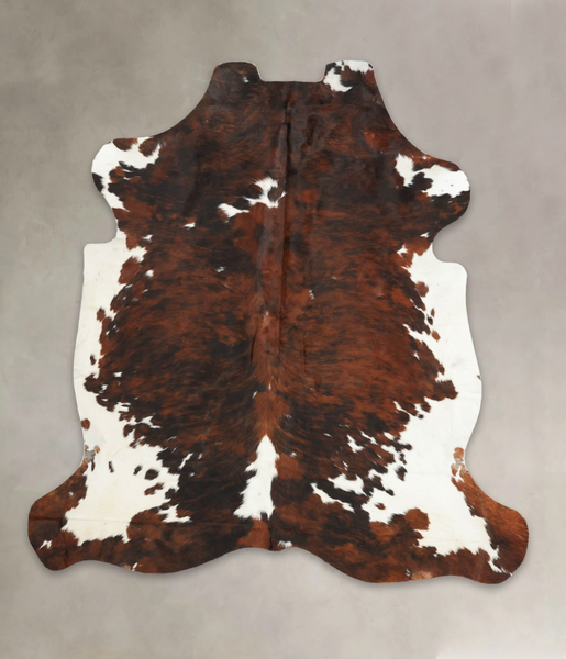 Tricolor Cowhide Rug #B6145