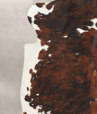 Tricolor Cowhide Rug #B6145