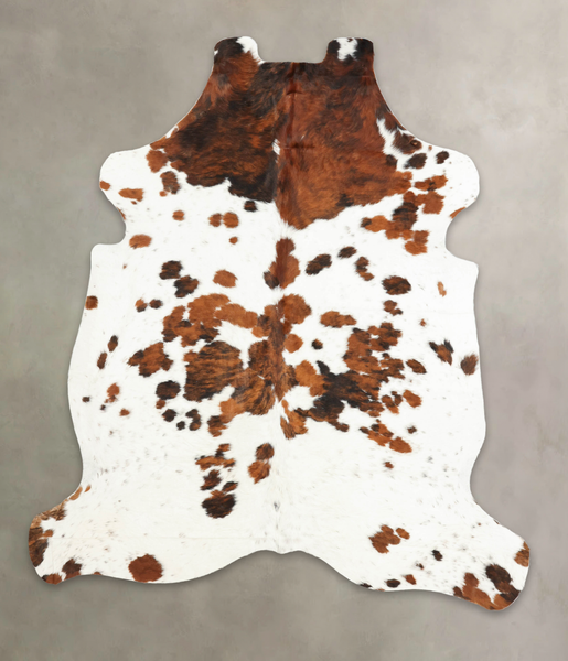 Tricolor Cowhide Rug #B6147