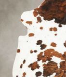 Tricolor Cowhide Rug #B6147