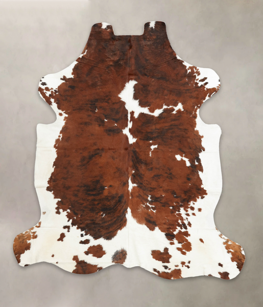 Tricolor Cowhide Rug #B6152