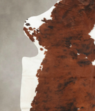 Tricolor Cowhide Rug #B6152