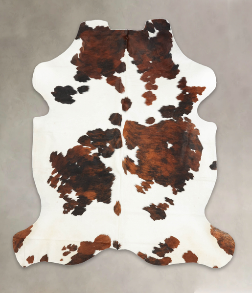 Tricolor Cowhide Rug #B6153