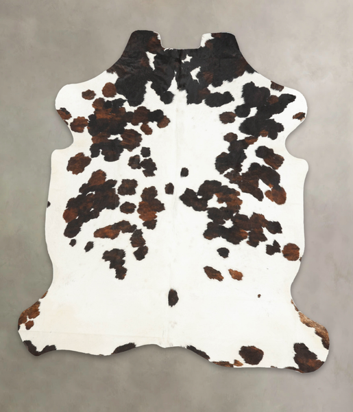 Tricolor Cowhide Rug #B6155