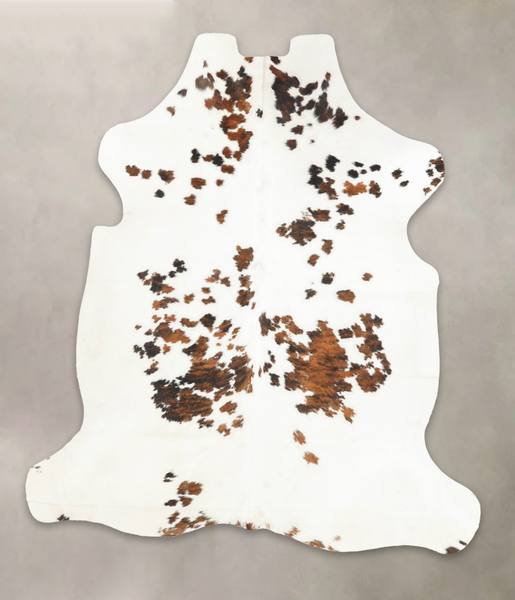 Tricolor Cowhide Rug #B6158