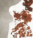 Tricolor Cowhide Rug #B6160