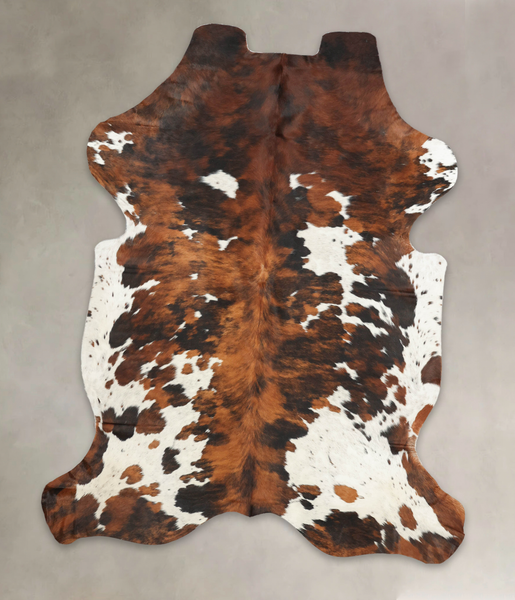 Tricolor Cowhide Rug #B6162