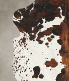 Tricolor Cowhide Rug #B6165