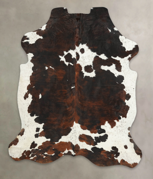 Tricolor Cowhide Rug #B6166