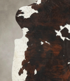 Tricolor Cowhide Rug #B6166