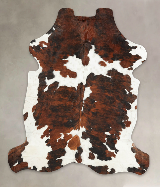 Tricolor Cowhide Rug #B6170