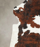 Tricolor Cowhide Rug #B6170