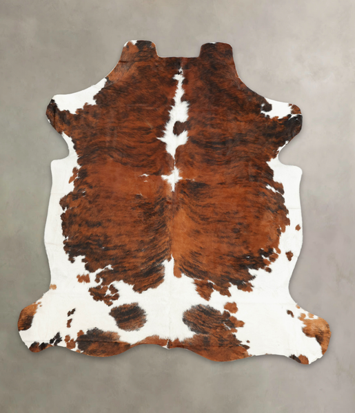 Tricolor Cowhide Rug #B6172
