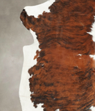 Tricolor Cowhide Rug #B6172