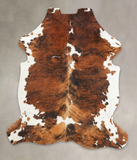 Tricolor Cowhide Rug #B6175
