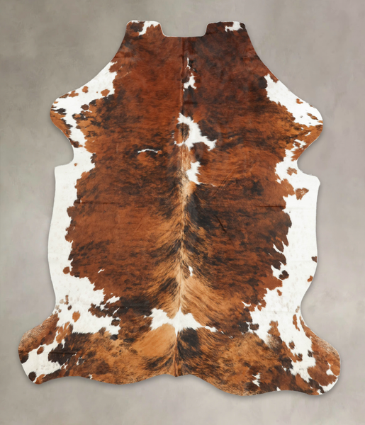 Tricolor Cowhide Rug #B6175