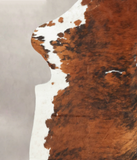 Tricolor Cowhide Rug #B6175
