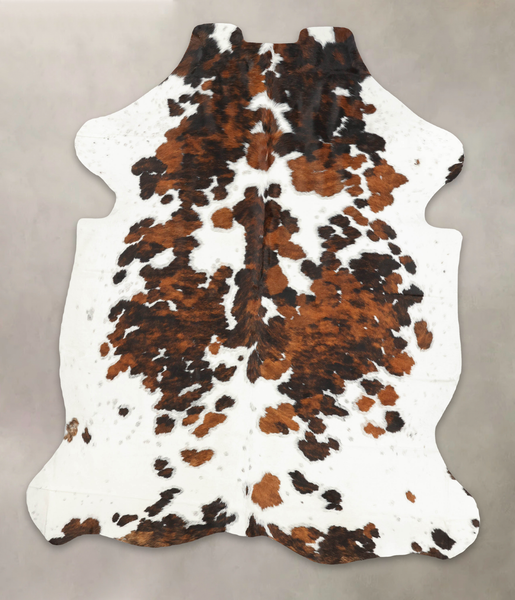 Tricolor Cowhide Rug #B6181