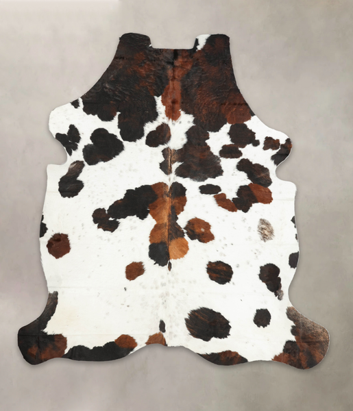 Tricolor Cowhide Rug #B6183