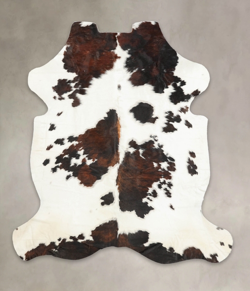 Tricolor Cowhide Rug #B6185