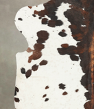 Tricolor Cowhide Rug #B6191