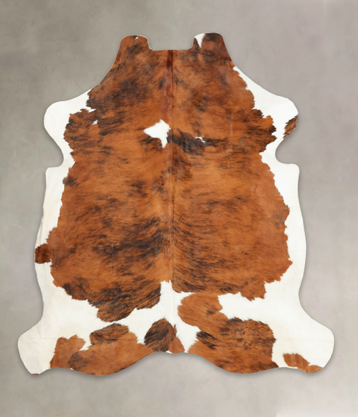 Tricolor Cowhide Rug #B6194