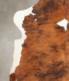 Tricolor Cowhide Rug #B6194