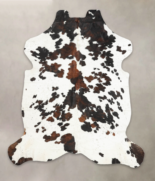 Tricolor Cowhide Rug #B6205
