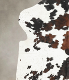 Tricolor Cowhide Rug #B6205