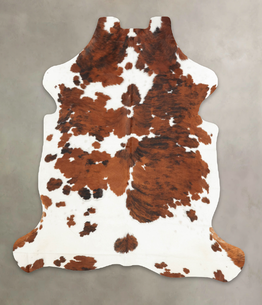 Tricolor Cowhide Rug #B6207