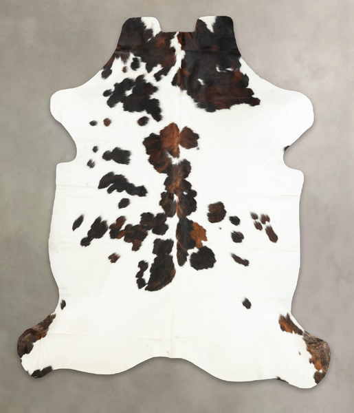 Tricolor Cowhide Rug #B6212