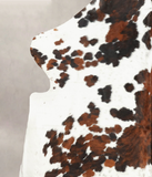 Tricolor Cowhide Rug #B6214