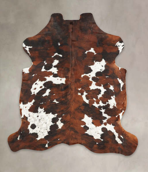 Tricolor Cowhide Rug #B6225