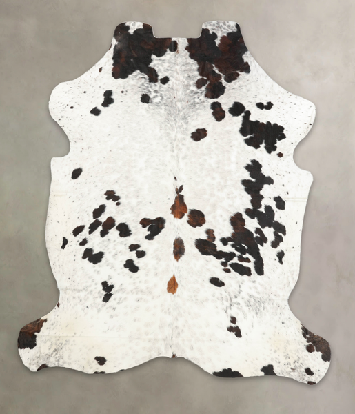 Tricolor Cowhide Rug #B6233