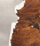 Tricolor Cowhide Rug #B6236