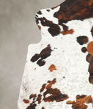Tricolor Cowhide Rug #B6237