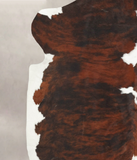 Tricolor Cowhide Rug #B6250
