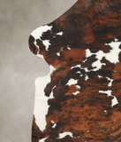 Tricolor Cowhide Rug #B6255
