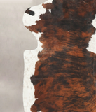 Tricolor Cowhide Rug #B6275