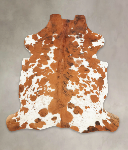 Tricolor Cowhide Rug #B6282