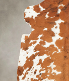 Tricolor Cowhide Rug #B6282