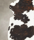 Tricolor Cowhide Rug #B6283