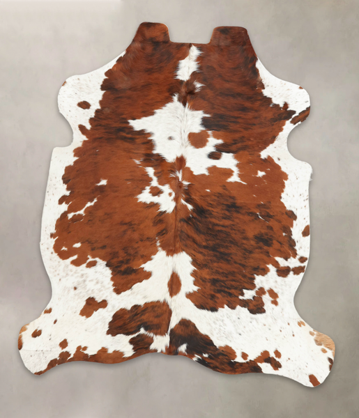 Tricolor Cowhide Rug #B6285