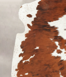 Tricolor Cowhide Rug #B6285